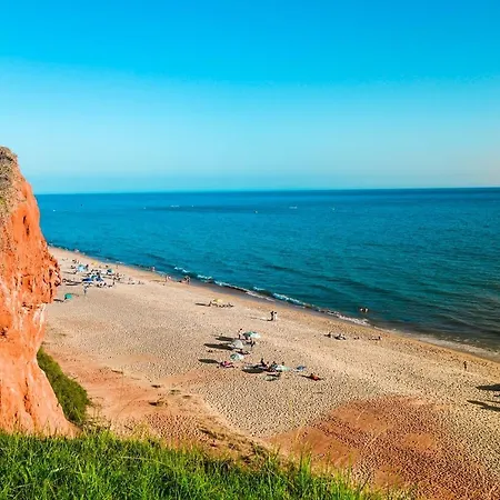 ヴィラ 5 Bedroom Of Vale Do Lobo With Pool & Bbq